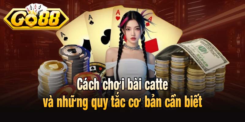 Cách chơi bài catte và những quy tắc cơ bản cần biết