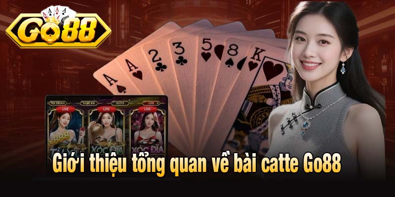 Giới thiệu tổng quan về bài catte Go88