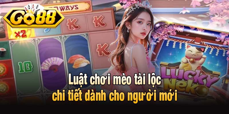 Luật chơi mèo tài lộc chi tiết dành cho người mới