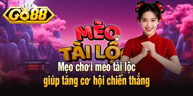 Mẹo chơi mèo tài lộc giúp tăng cơ hội chiến thắng