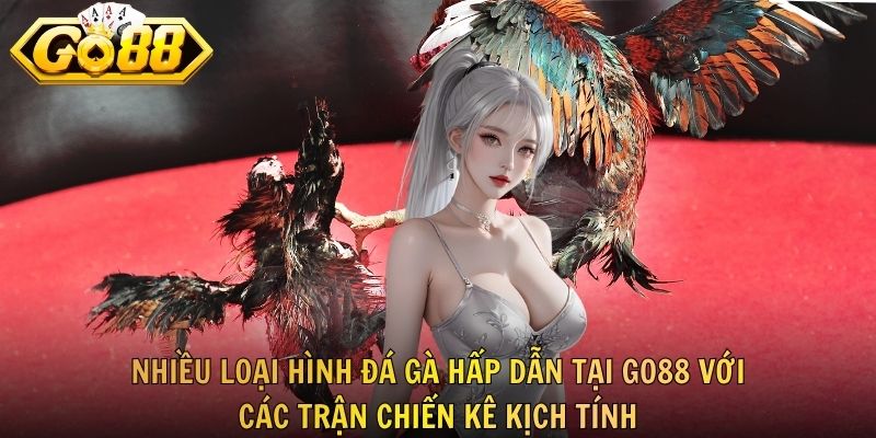 Nhiều loại hình đá gà hấp dẫn tại GO88 với các trận chiến kê kịch tính